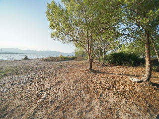 Suelo con licencia en Alcúdia 17