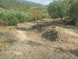 Otros en venta en Tivissa de 13880  m²