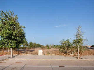 Sagunto - Valencia - 20