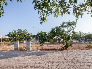 Suelo en Sagunto - Valencia - 22
