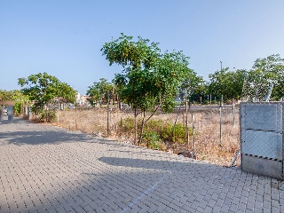 Suelo en Sagunto - Valencia - 23