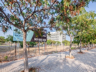 Suelo en Sagunto - Valencia - 25