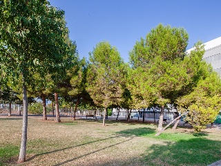 Suelo en Sagunto - Valencia - 29