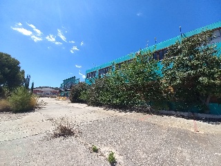 Nave en Cr Orihuela-Torrevieja  12