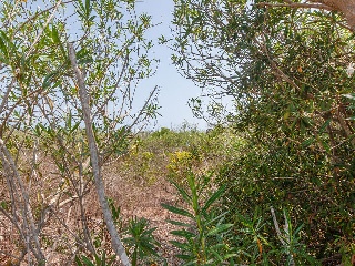 Suelos en Cullera 11