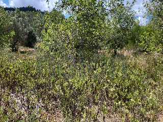 otros en venta , Pedreguer , 3695 m2 6