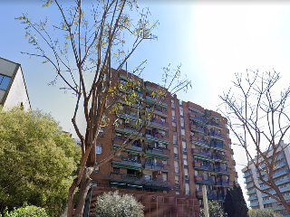 JOSEP MIQUEL QUINTANA 2