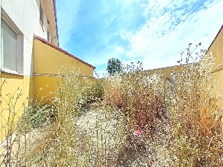 Ambrosio Rico 9