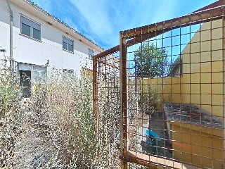 Ambrosio Rico 10