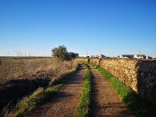Pisos banco Olivenza