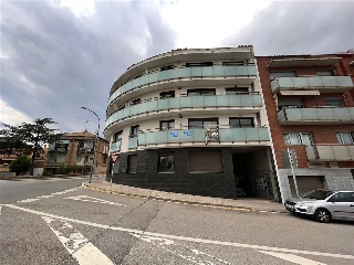 Moia 7