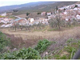 Suelo rústico en C/ Cuesta Cabrera - Lahiguera - Jaén 8