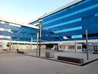 Oficina en C/ Pino Estrobo - Sevilla - 3