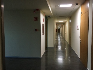 Oficina en C/ Pino Estrobo - Sevilla - 15