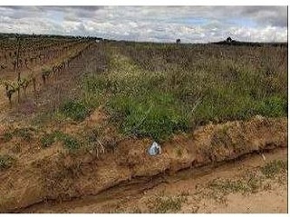Suelo rústico en Bollullos Par del Condado  - Huelva - 6
