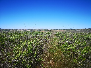 Suelo rústico en Bollullos Par del Condado  - Huelva - 11