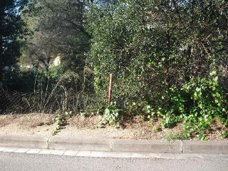 Suelo en Lloret de Mar 6