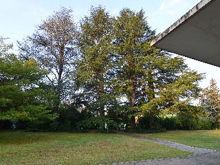 Chalet independiente en Pamplona 4