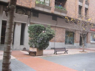 Local en Logroño 7