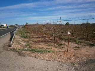 Suelo Rústico en L’Ollería y Vilanova 15
