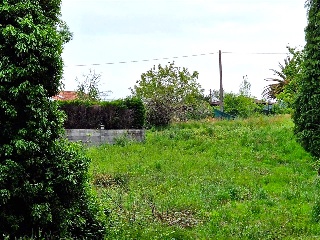 SAN ROQUE 19