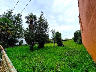 SAN ROQUE 21