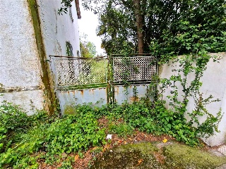 SAN ROQUE 23