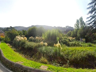 CONDE DE ALBOX 14