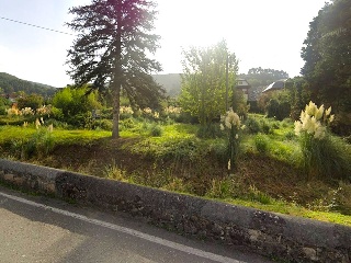 CONDE DE ALBOX 16