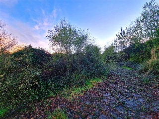 PARAJE DE AGREDO 30