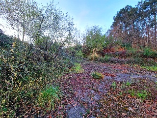 PARAJE DE AGREDO 32