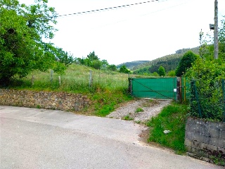 EL CAÑADO 29