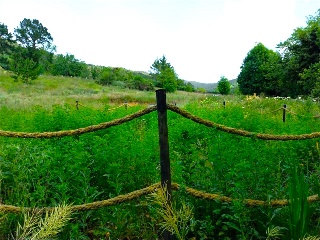 EL CAÑADO 38