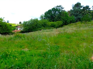 EL CAÑADO 40