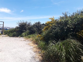 CTRA. BAÑOS, N.S/N, P.SP 13