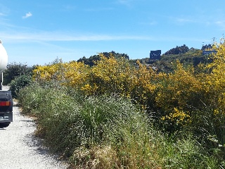CTRA. BAÑOS, N.S/N, P.SP 18