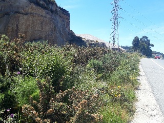 CTRA. BAÑOS, N.S/N, P.SP 20