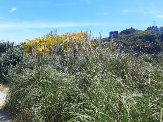 CTRA. BAÑOS, N.S/N, P.SP 21