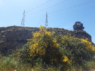 CTRA. BAÑOS, N.S/N, P.SP 22