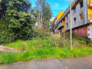 CUBELIÑO 20 N2-24 Polígono 8 Parcela 445 44