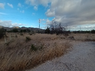 Llano. Buñol 7