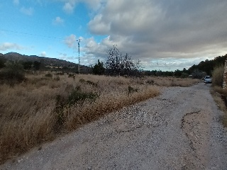 Llano. Buñol 8