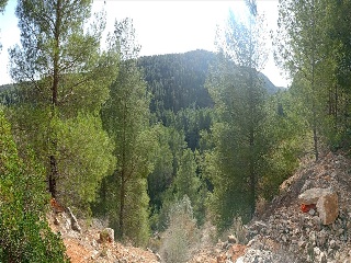 Portillo 4