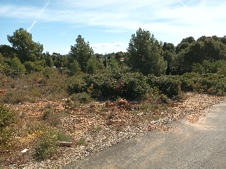 Portillo 6