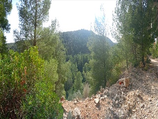 Portillo 7