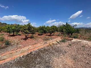 Quebranta 5