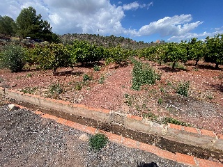 Quebranta 6