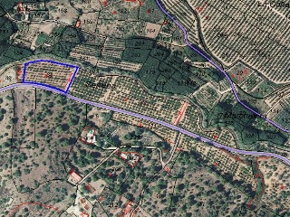 Quebranta 9
