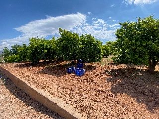Fábrica De Luz 3