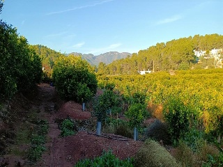 Quebranta 7